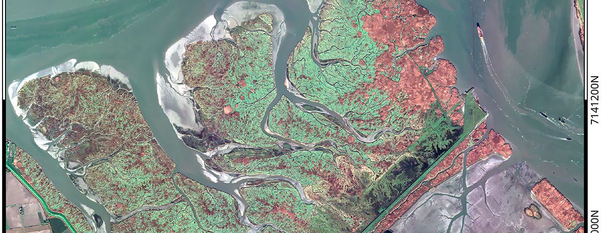 Acquisition Pléiades à l'automne 2024 sur les sites d’études d’EO4Wetlands.