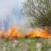 Un violent incendie de forêt se propageant dans une zone herbeuse parsemée de buissons verdoyants