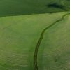 Vue aérienne de champs circulaires irrigués verts illustrant des techniques agricoles modernes.
