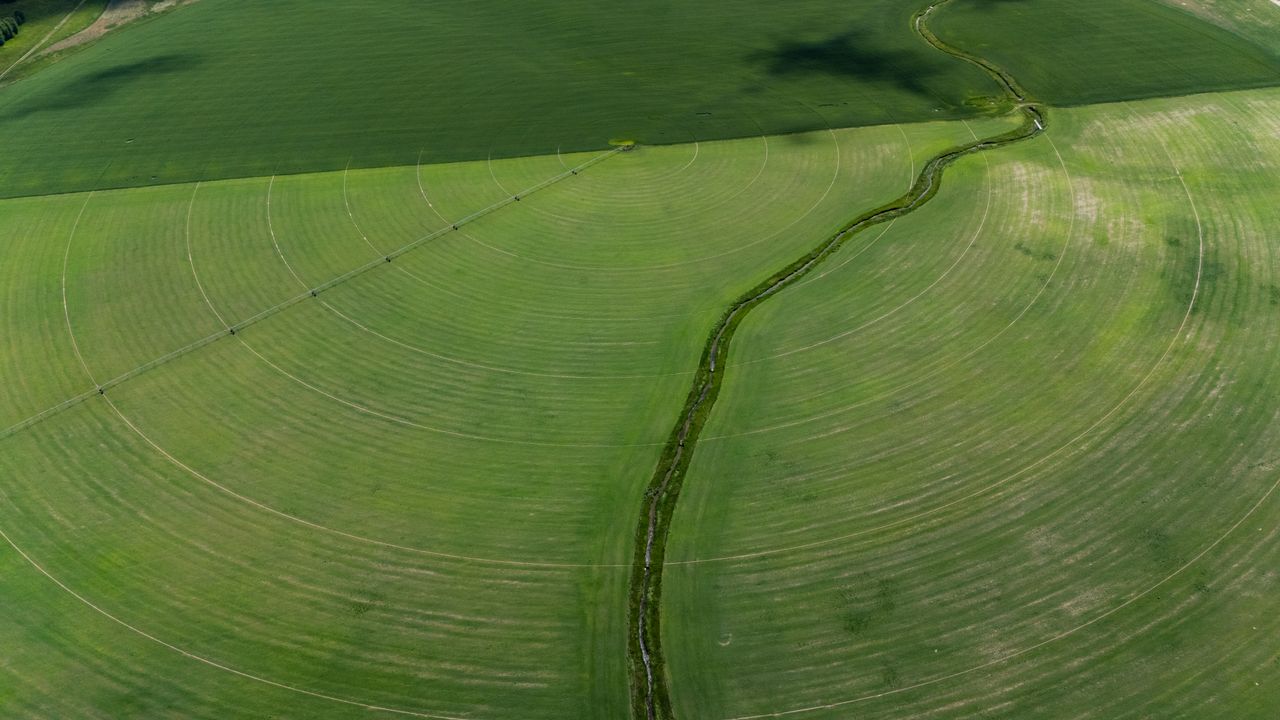 Vue aérienne de champs circulaires irrigués verts illustrant des techniques agricoles modernes.